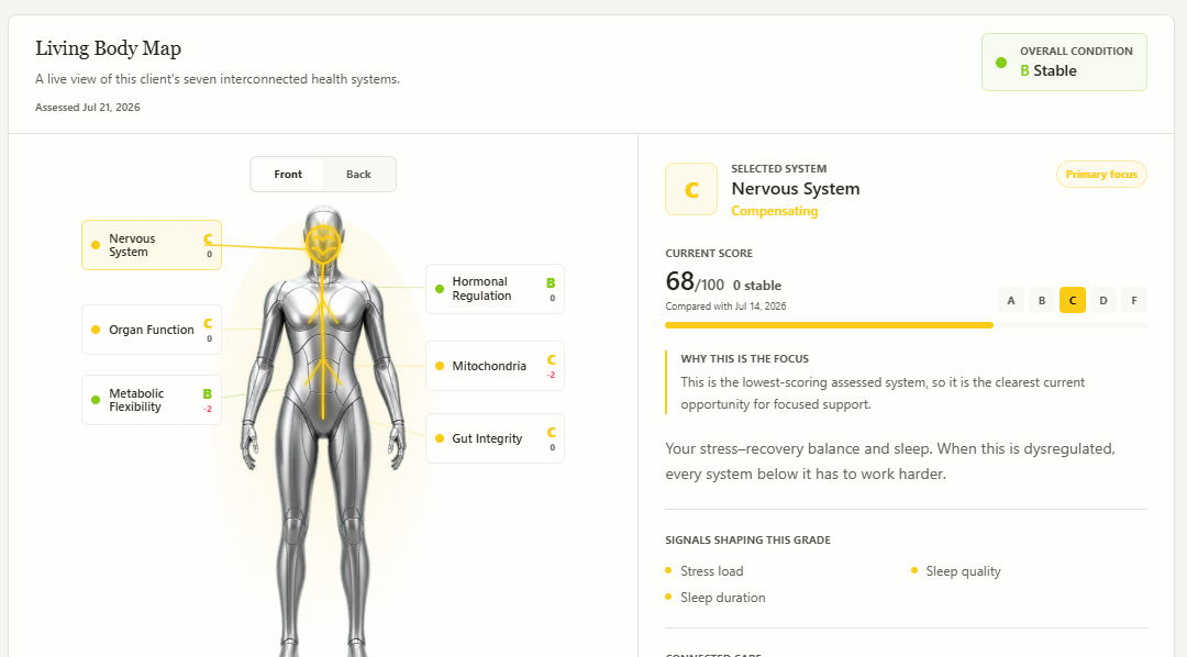 Living Body Map showing seven client health systems with letter grades and the currently selected nervous system